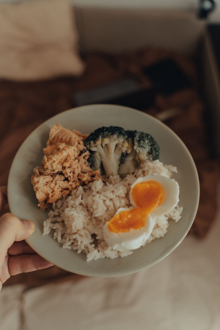 Comida casera con pescado, brócoli, huevo y arroz